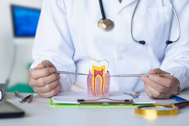 Best Weekend Emergency Dentist in Magnolia, NC